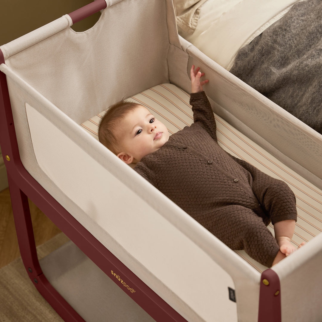 SnuzPod5 Bedside Crib - Rouge