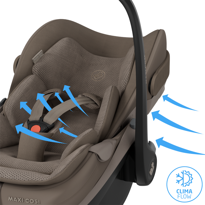 Maxi-Cosi Pebble Slide Pro - Oak Truffle