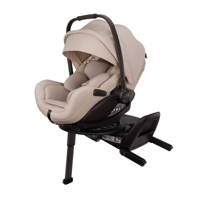 Nuna TRIV next ARRA FLEX bundle - Biscotti