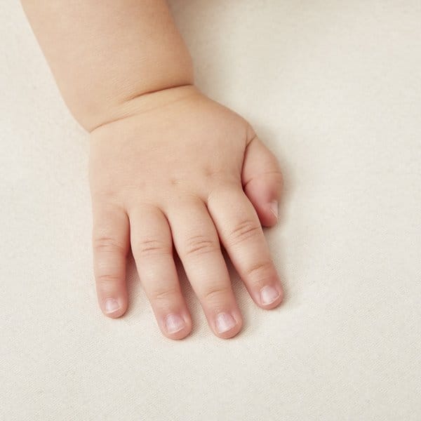 Little Green Sheep Organic Snuzpod 5 & Studio Mattress Protector - 44 x 80cm